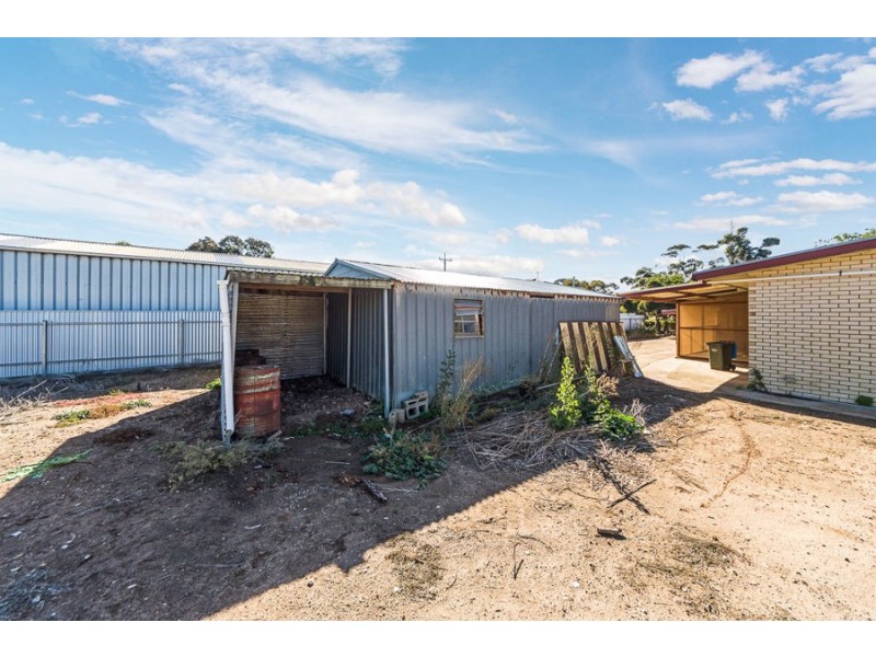 31 Maurice Road, Murray Bridge SA 5253