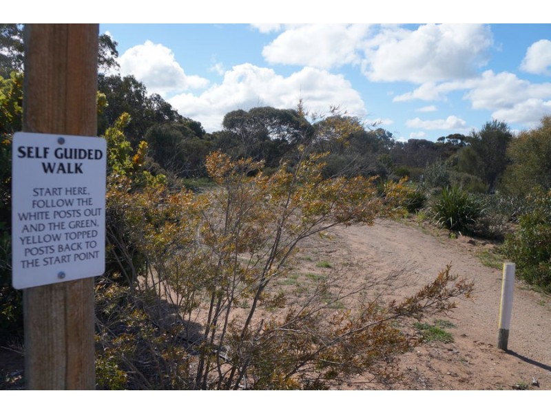 19 Pangarinda Drive, Wellington East SA 5259