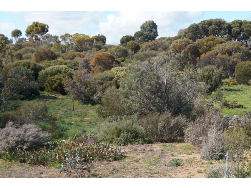 19 Pangarinda Drive, Wellington East SA 5259