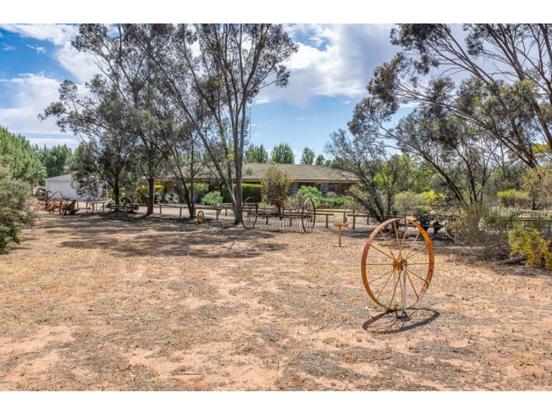 62 Thiele Road, Murray Bridge SA 5253