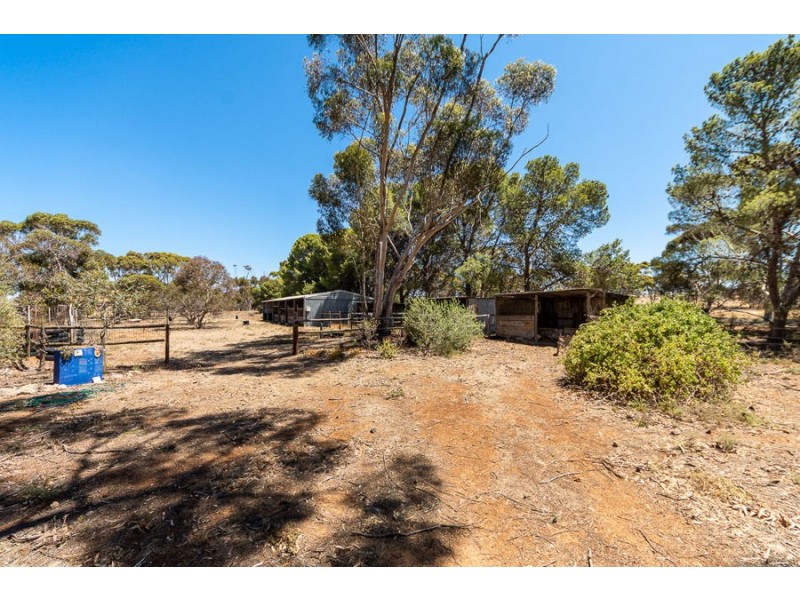 445 Schenscher, Monarto SA 5254