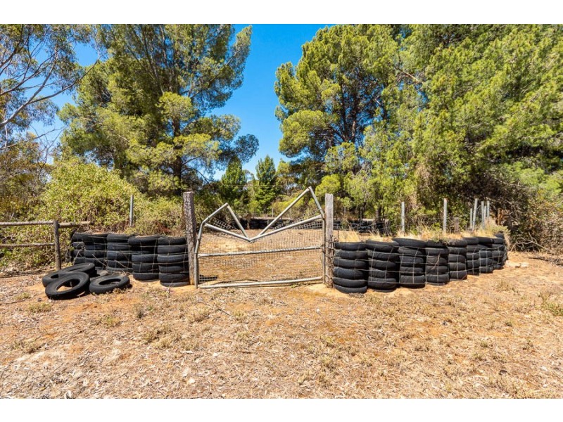 445 Schenscher, Monarto SA 5254