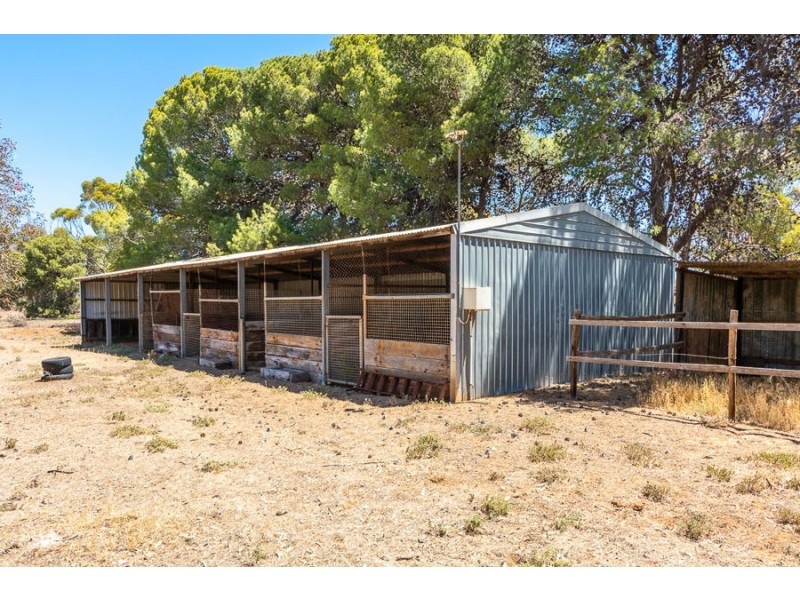 445 Schenscher, Monarto SA 5254