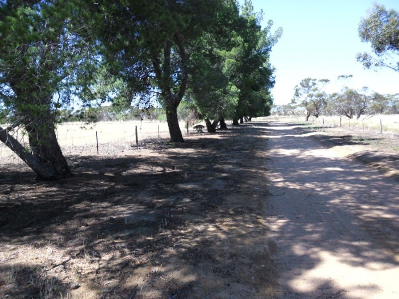 35 Stones Track, Karoonda SA 5307