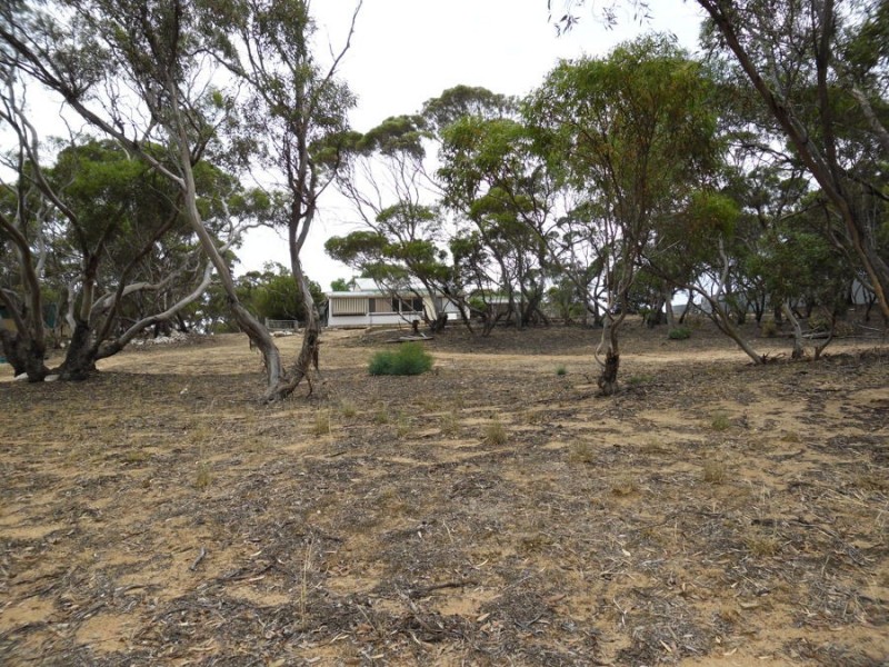 35 Stones Track, Karoonda SA 5307