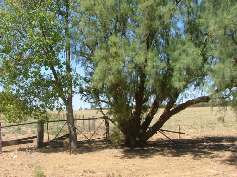35 Stones Track, Karoonda SA 5307