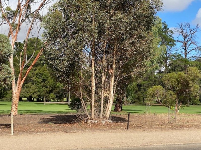 28A Ritter Street, Murray Bridge SA 5253