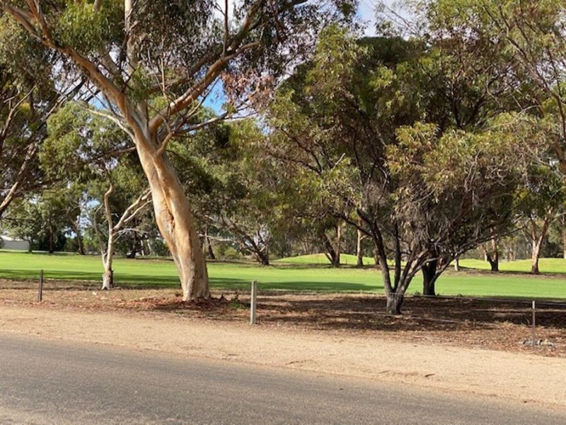 28A Ritter Street, Murray Bridge SA 5253
