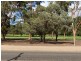 28A Ritter Street, Murray Bridge SA 5253