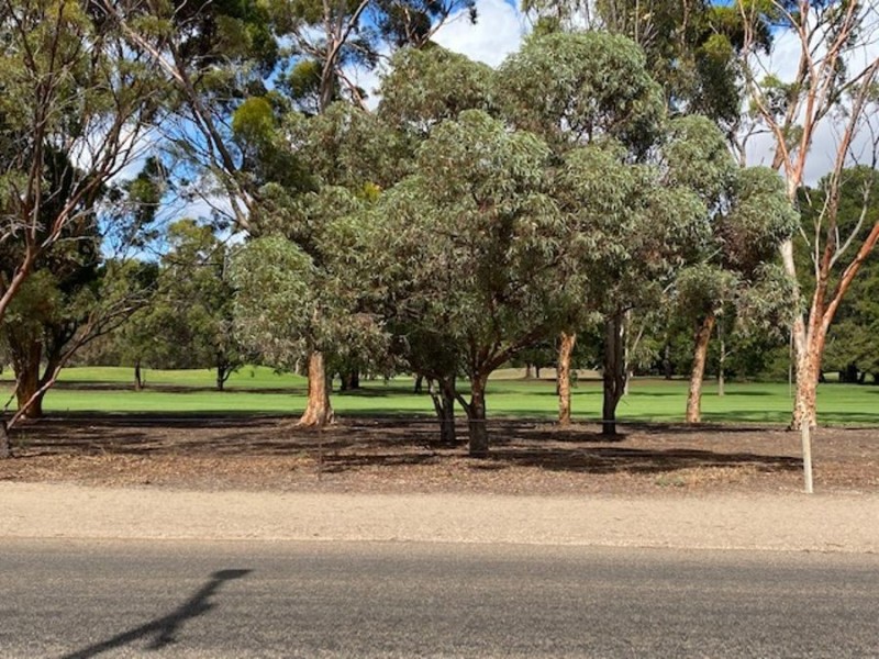 28A Ritter Street, Murray Bridge SA 5253