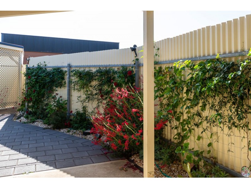 15A Florence Street, Murray Bridge SA 5253