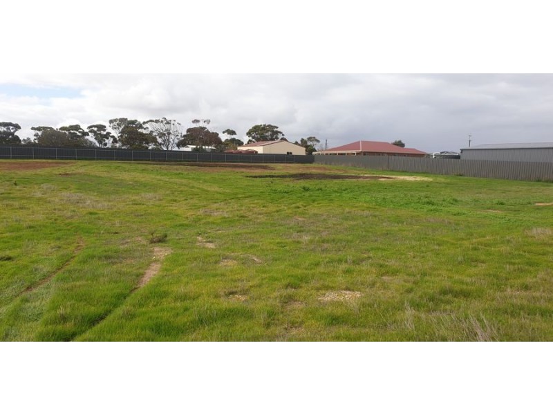 43 McQuarrie Street, Murray Bridge SA 5253