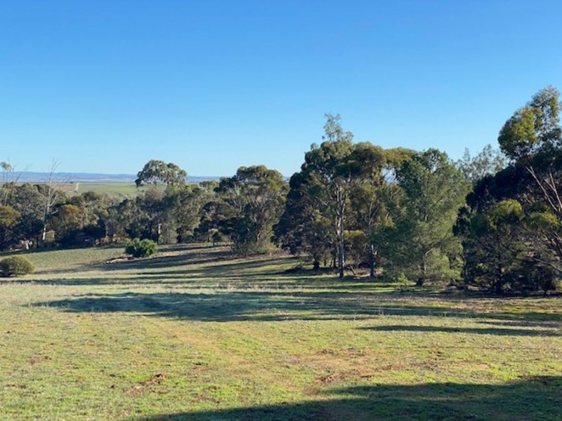 110 Mitchell Ave, Murray Bridge SA 5253