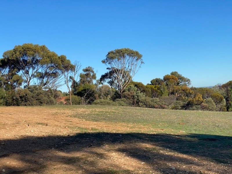 110 Mitchell Ave, Murray Bridge SA 5253