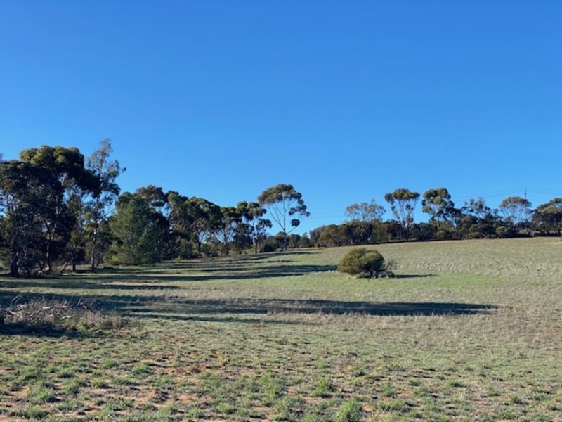 110 Mitchell Ave, Murray Bridge SA 5253