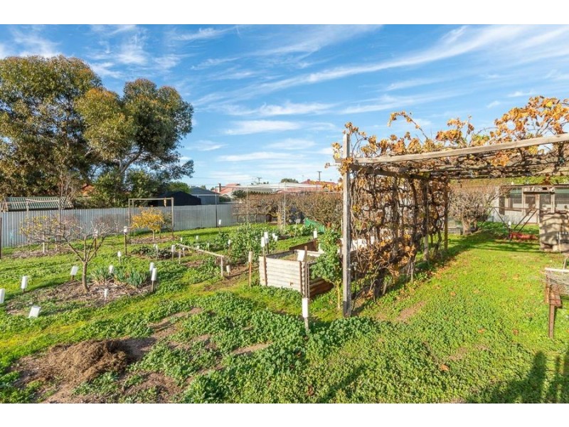 62 Hill Street, Murray Bridge SA 5253