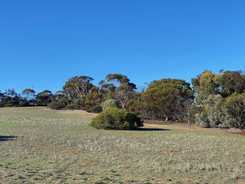 108 Mitchell, Murray Bridge SA 5253
