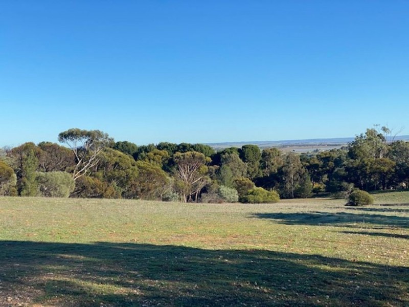 108 Mitchell, Murray Bridge SA 5253