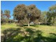 2932 Mallee Highway, Sherlock SA 5301