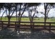 Lot 53 Prosperity Grove, Murray Bridge SA 5253
