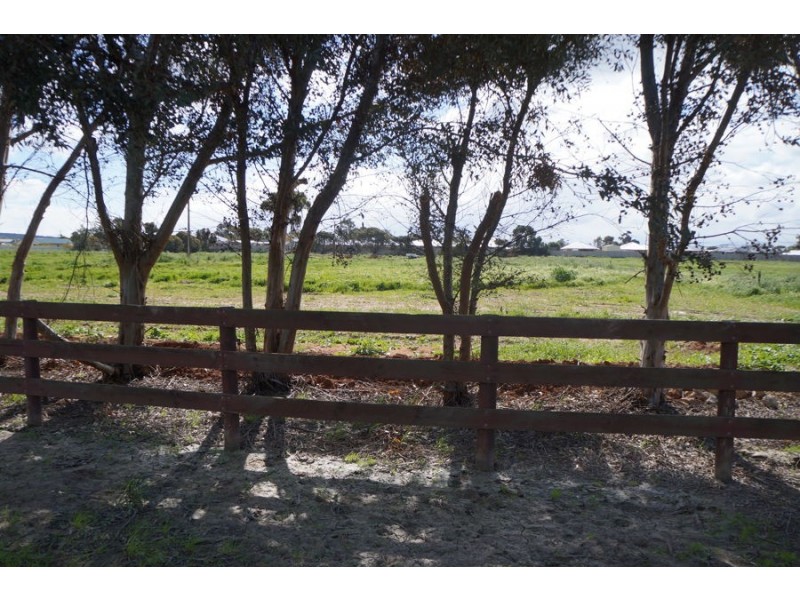 Lot 53 Prosperity Grove, Murray Bridge SA 5253