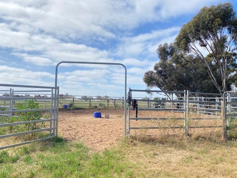 30 Prosperity, Murray Bridge SA 5253