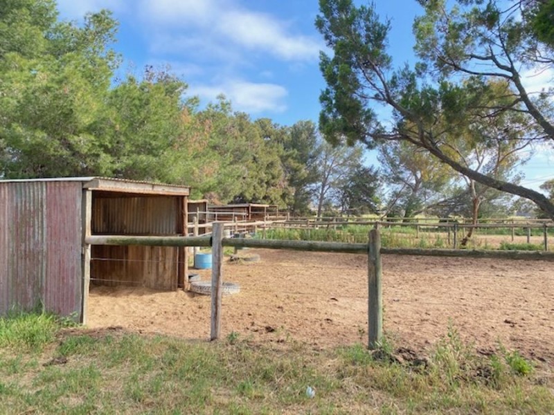 30 Prosperity, Murray Bridge SA 5253