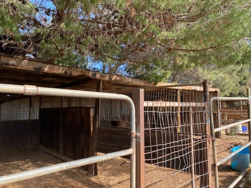 30 Prosperity, Murray Bridge SA 5253