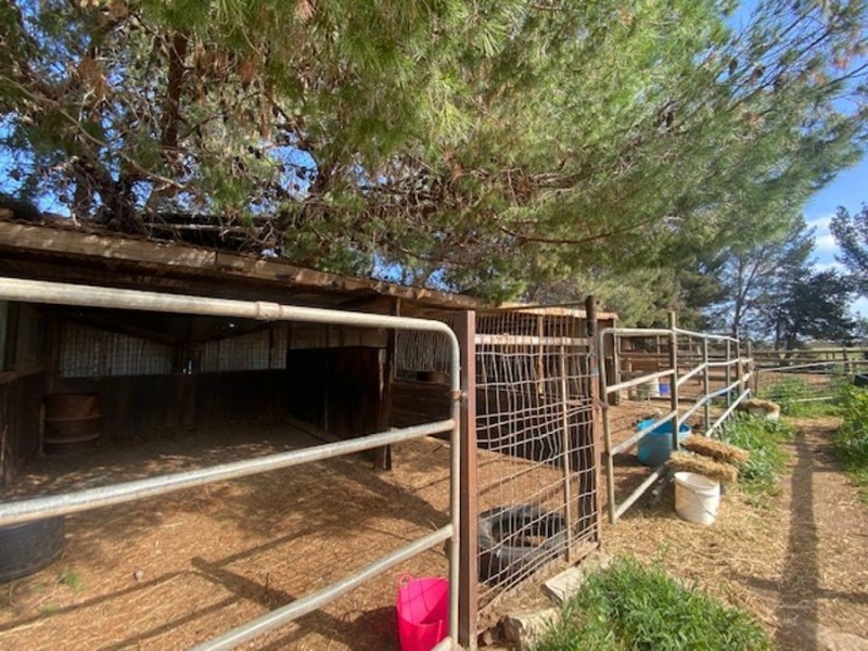 30 Prosperity, Murray Bridge SA 5253