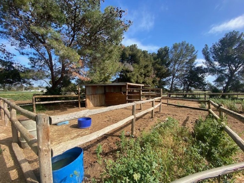 30 Prosperity, Murray Bridge SA 5253