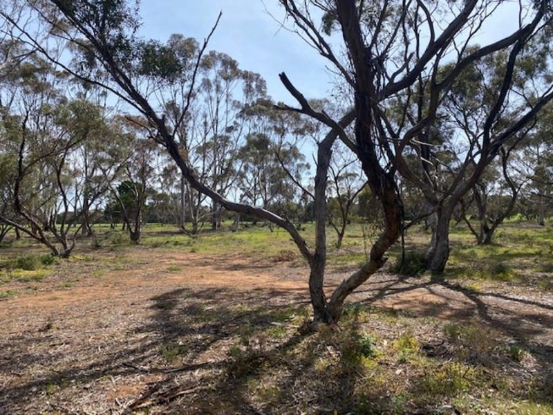 Lot 2 Hartman Road, Monarto SA 5254