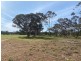 Lot 2 Hartman Road, Monarto SA 5254