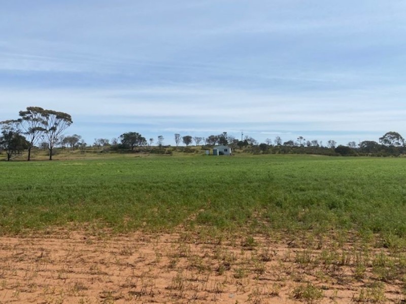 Lot 2 Hartman Road, Monarto SA 5254