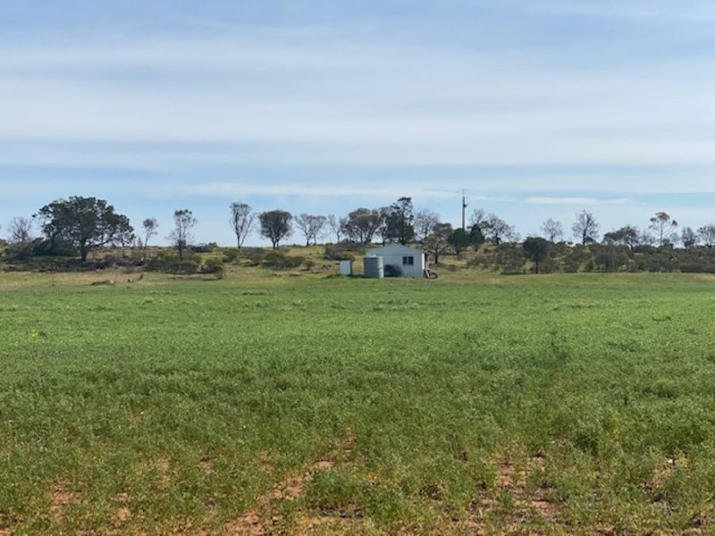 Lot 2 Hartman Road, Monarto SA 5254