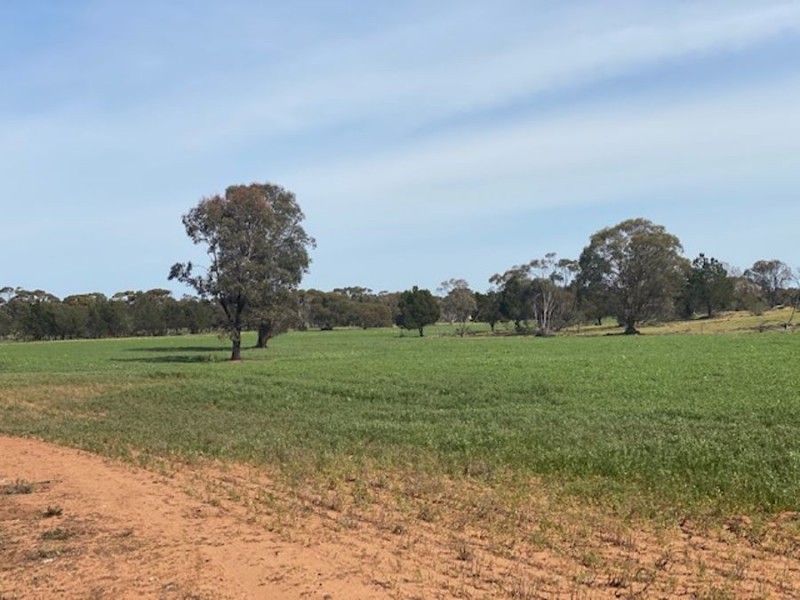 Lot 2 Hartman Road, Monarto SA 5254