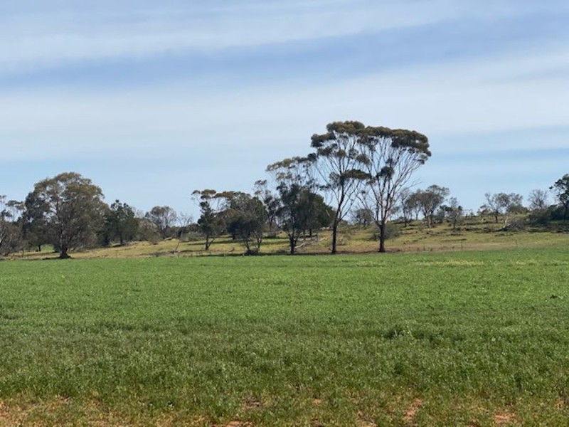 Lot 2 Hartman Road, Monarto SA 5254