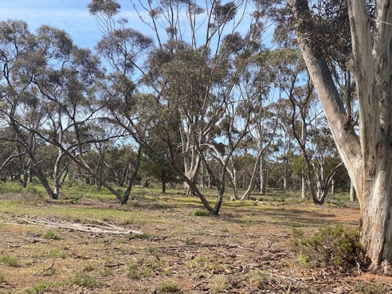 Lot 2 Hartman Road, Monarto SA 5254