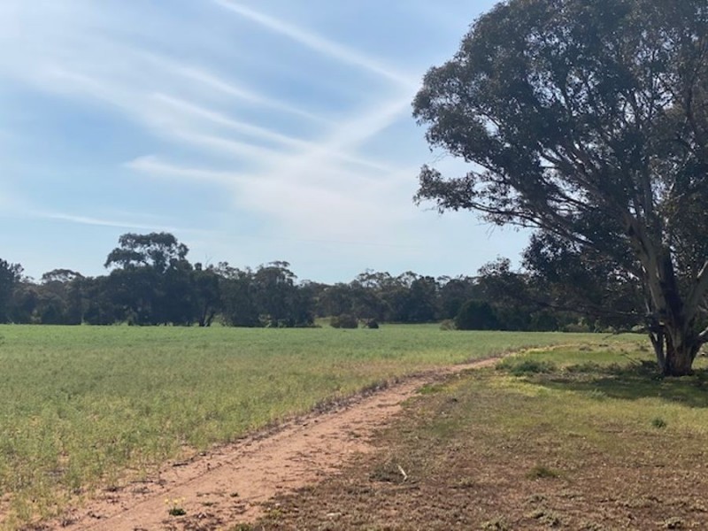 Lot 2 Hartman Road, Monarto SA 5254