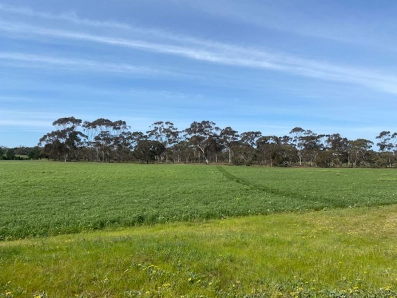 Lot 2 Hartman Road, Monarto SA 5254