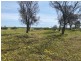 Lot 2 Hartman Road, Monarto SA 5254