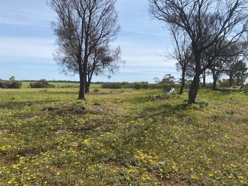 Lot 2 Hartman Road, Monarto SA 5254