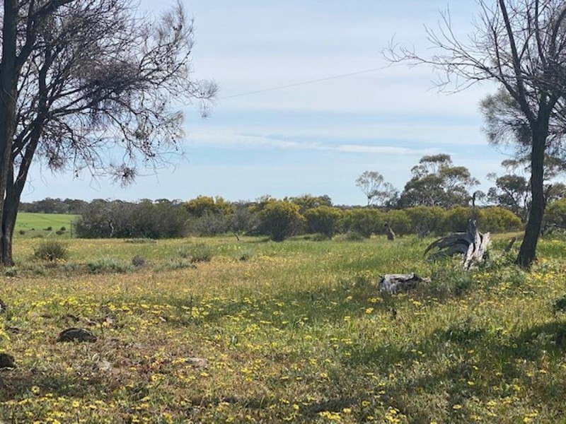 Lot 2 Hartman Road, Monarto SA 5254