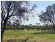 Lot 2 Hartman Road, Monarto SA 5254