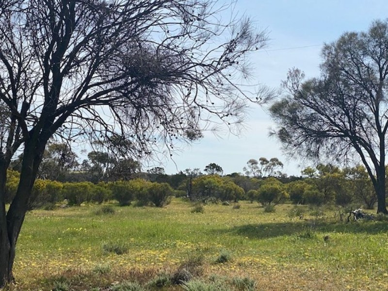 Lot 2 Hartman Road, Monarto SA 5254