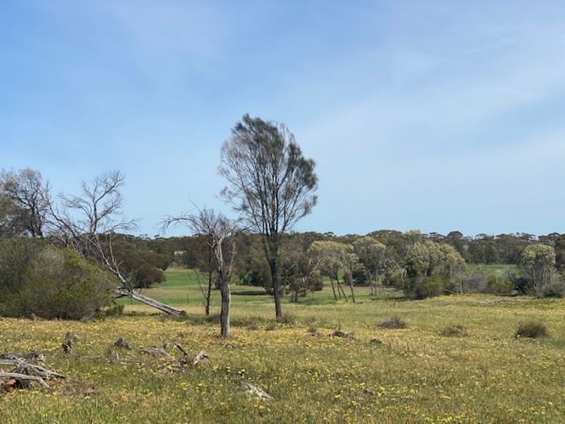 Lot 2 Hartman Road, Monarto SA 5254