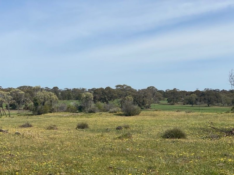 Lot 2 Hartman Road, Monarto SA 5254