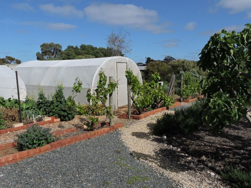 5 Little Corella Court, Murray Bridge SA 5253