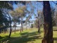 24 Swan Road, Murray Bridge SA 5253