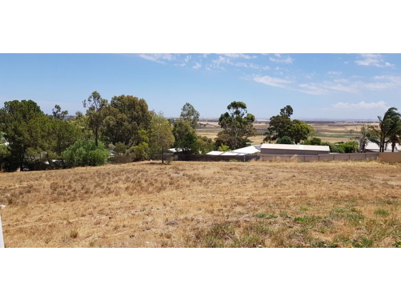 Allot 61 Campbell Close, Murray Bridge SA 5253