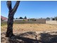 Lot 50 Ramsay Street, Murray Bridge SA 5253